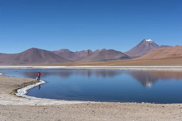 South America, Andes, Atacama, San Pedro de Atacama, Along route 27 onm the Altiplano