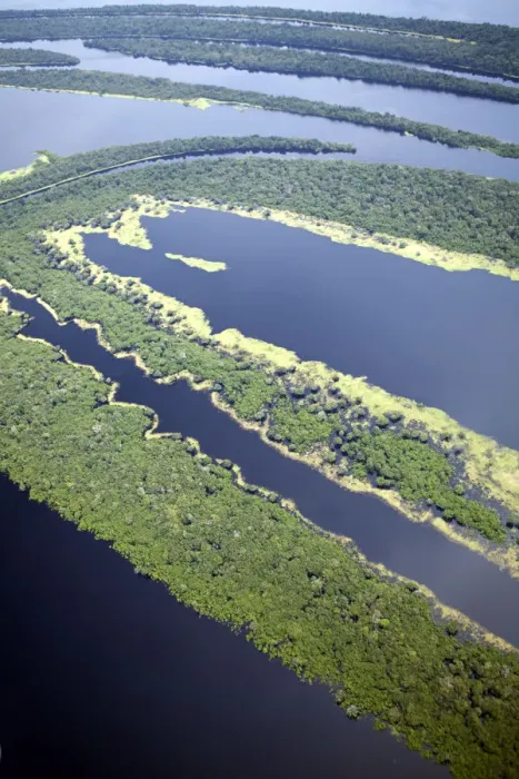 Framed Print : South America, Brazil, Amazon, Aerial view of the UNESCO listed Anavilhanas ecological Framed Print : South America, Brazil, Amazon, Aerial view of the UNESCO listed Anavilhanas ecological