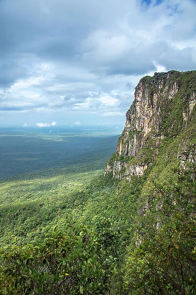 South America, Brazil, Amazonas, Amazon, Rio Negro, Serra do Araca State Park, Araca tepui