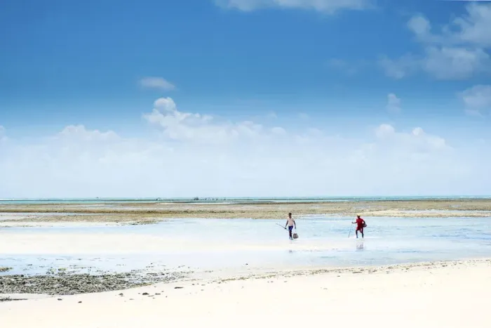 Framed Print : South America, Brazil, Bahia, Tinhare island, Boipeba, local fishermen on an idyllic Framed Print : South America, Brazil, Bahia, Tinhare island, Boipeba, local fishermen on an idyllic