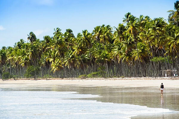 South America, Brazil, Bahia, Tinhare island, Boipeba, an idyllic beach on Boipeba island