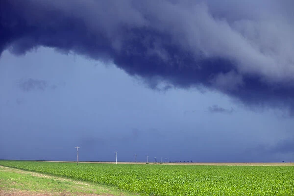 South America, Brazil, Mato Grosso, threatening storm clouds over soya plantations