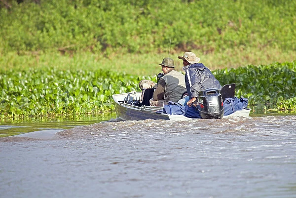 South America, Brazil, Mato Grosso, Pantanal, a wildlife photographer looking for