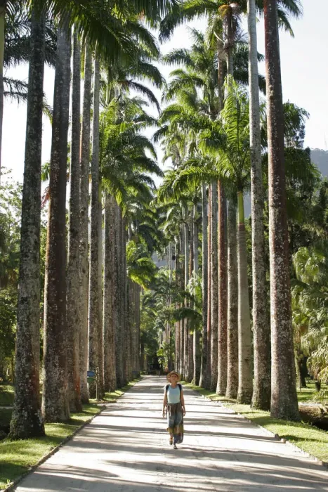 Framed Print : South America, Brazil, Rio de Janeiro State, Rio de Janeiro city, the avenue of royal Framed Print : South America, Brazil, Rio de Janeiro State, Rio de Janeiro city, the avenue of royal