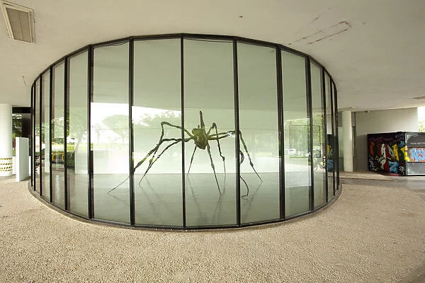 South America, Brazil, Sao Paulo, a Louise Bourgeois Spider at the Museum of Modern Art