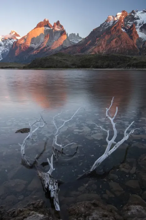 Framed Print : South America, Chile, Andes, Patagonia, Torres del Paine, UNESCO World Heritage Framed Print : South America, Chile, Andes, Patagonia, Torres del Paine, UNESCO World Heritage