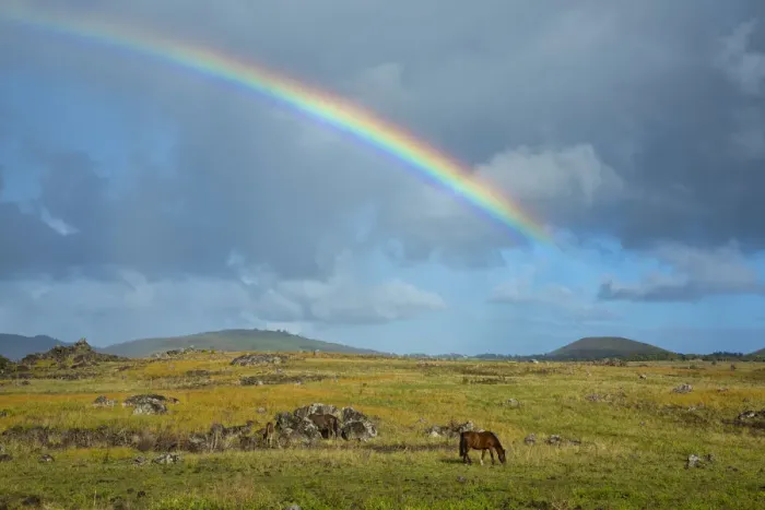 Framed Print : South America, Chile, Easter Island, Isla de Pasqua, Rainbow after a storm Framed Print : South America, Chile, Easter Island, Isla de Pasqua, Rainbow after a storm