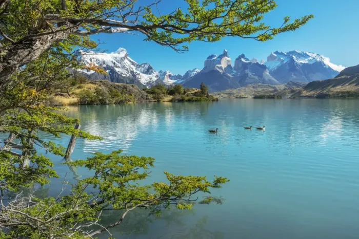 Framed Print : South America, Patagonia, Chile, Region de Magallanes y de la Antartica, Torres del Paine Framed Print : South America, Patagonia, Chile, Region de Magallanes y de la Antartica, Torres del Paine