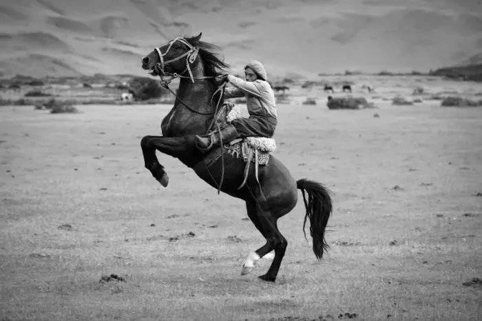 Framed Print : South America, Patagonia, Chile, Torres del Paine National Park, Gauchos on horseback Framed Print : South America, Patagonia, Chile, Torres del Paine National Park, Gauchos on horseback