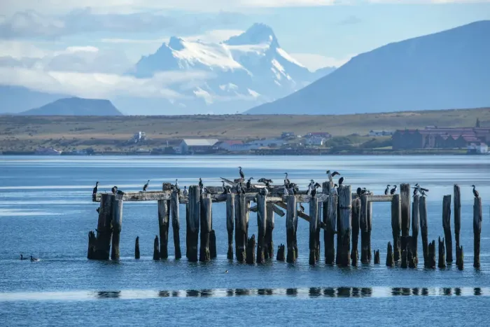 Framed Print : South America, Patagonia, Puerto Natales, Magallanes and Antartica Chilena Region Framed Print : South America, Patagonia, Puerto Natales, Magallanes and Antartica Chilena Region