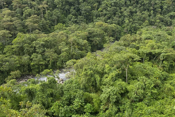 South America, Peru, Amazonia, Manu National Park, UNESCO World Heritage, cloud forest