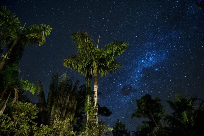 Framed Print : South America, Peru, Amazonia, South Manu National Park, night sky, UNESCO World Framed Print : South America, Peru, Amazonia, South Manu National Park, night sky, UNESCO World