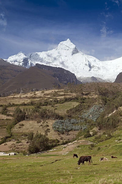 South America, Peru, Ancash, Yungay. View of glaciers on the summit of the 20, 981 ft  /  6