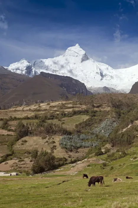 Framed Print : South America, Peru, Ancash, Yungay. View of glaciers on the summit of the 20, 981 ft / 6 Framed Print : South America, Peru, Ancash, Yungay. View of glaciers on the summit of the 20, 981 ft / 6