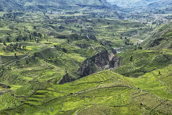 South America, Peru, Colca Canyon