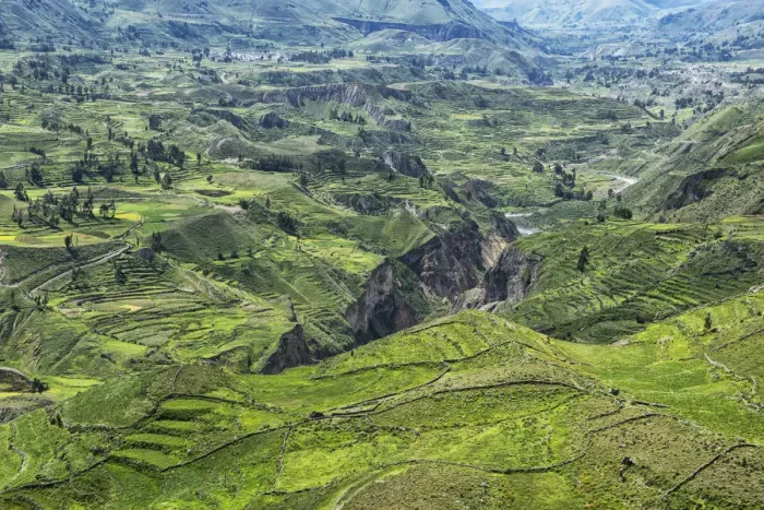 Framed Print : South America, Peru, Colca Canyon Framed Print : South America, Peru, Colca Canyon