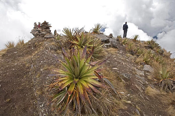 South America, Peru, Cusco. A hiker at the top of the Yanama pass on the trail to