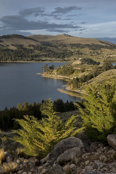 South America, Peru, Lake Titicaca, Suasi Island