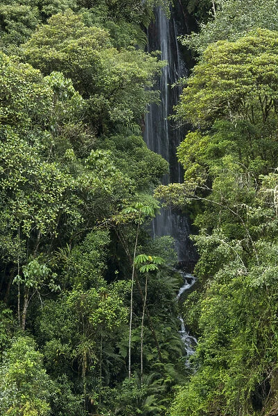 South America, Peru, Manu National Park, waterfall in cloud forest