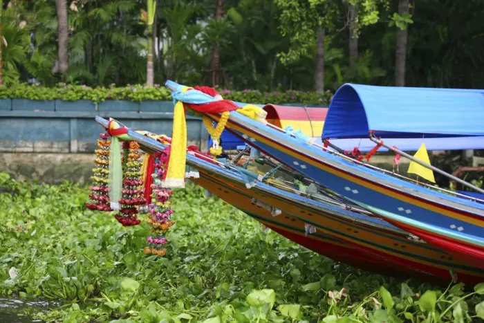 Framed Print : South East Asia, Thailand, Bangkok, flower garlands on the heads of long tailed boats Framed Print : South East Asia, Thailand, Bangkok, flower garlands on the heads of long tailed boats