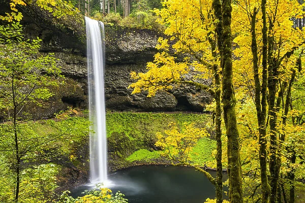 South Falls in Autumn, Silver Falls State Park, Oregon, USA