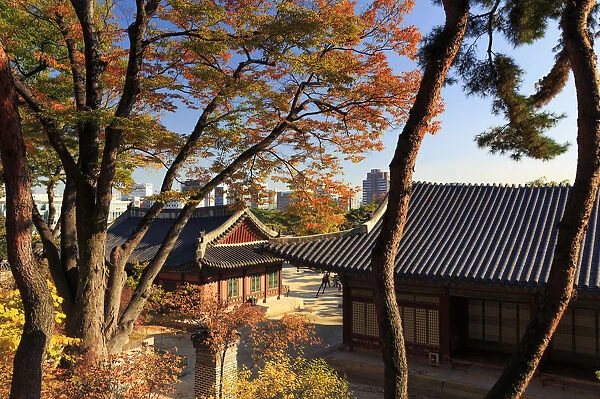 South Korea, Seoul, Changgyeonggung Palace