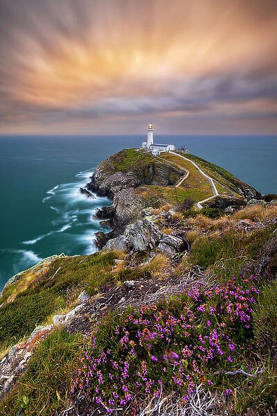 South Stack Lighthouse at sunset, Anglesey, Holy Island, Wales, Great Britain, United Kingdom