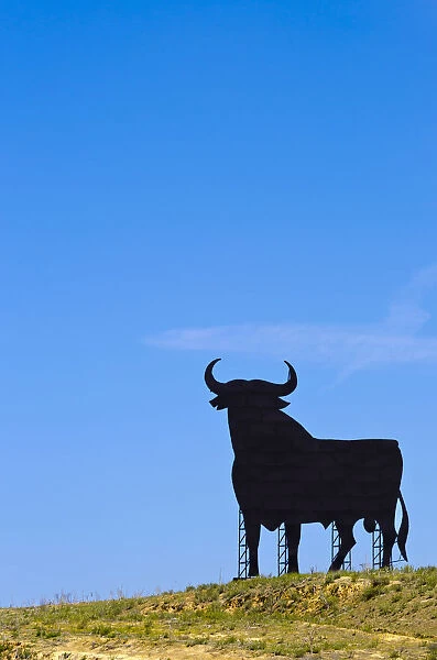 Spain, Andalucia, Cadiz Province, Jerez de la Frontera, El Cuadrejon, an Osborne Bull