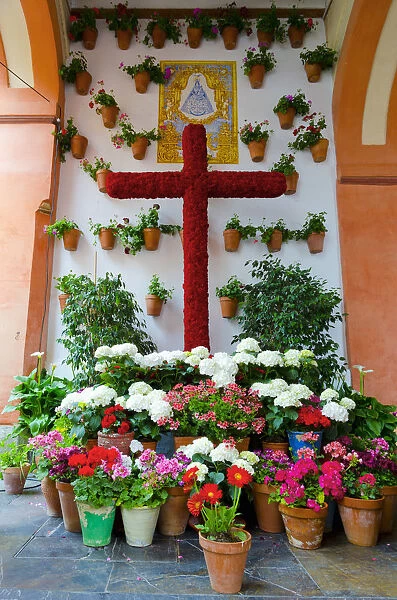 Spain, Andalucia, Cordoba Province, Cordoba, Plaza de la Corredera, Fiesta of the