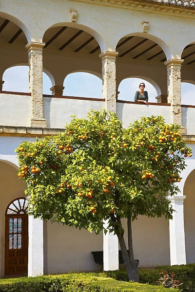 Spain, Andalucia, Granada, Alhambra. Woman looking out over orange tree (MR)