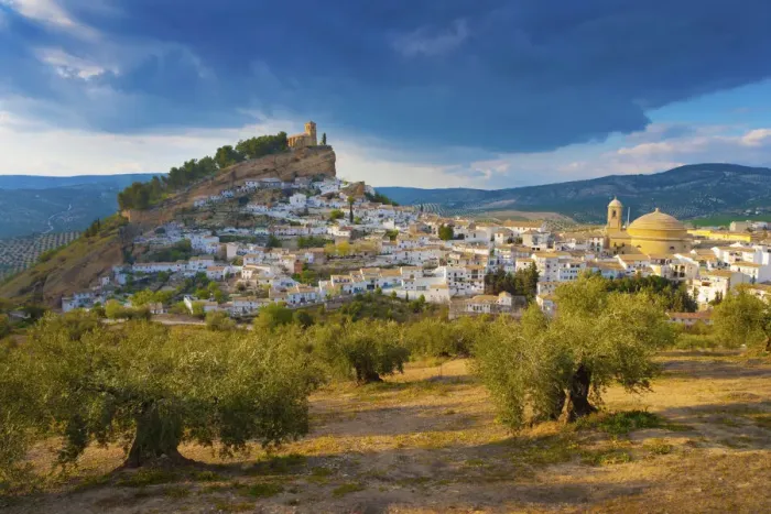 Framed Print : Spain, Andalucia, Granada province, Montefrio, Olive grove in foreground
