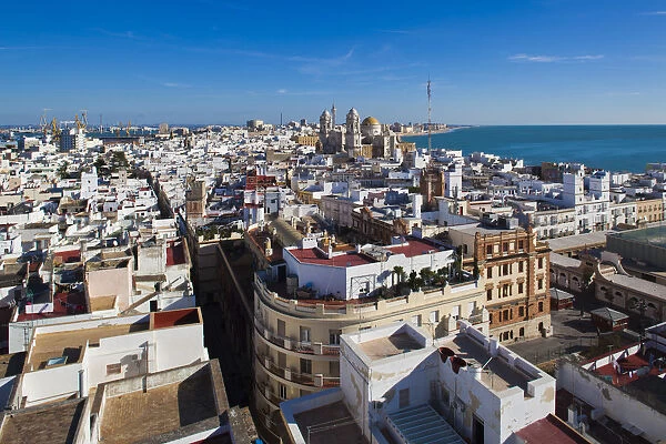 Spain, Andalucia Region, Cadiz Province, Cadiz, elevated city view with the Cathedral