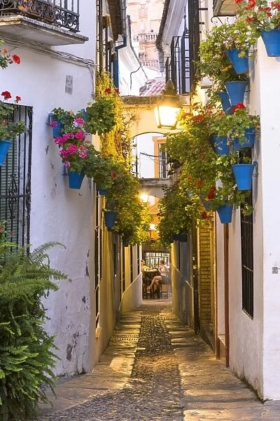 Spain, Andalusia, Cordoba. Calleja de las flores (street of the flowers) in the old town