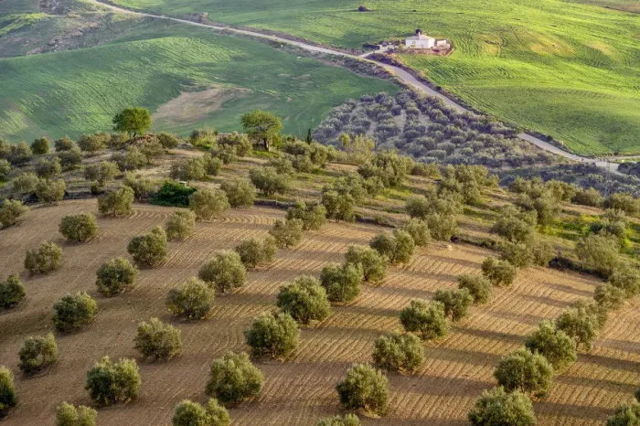 Framed Print : Spain, Andalusia, landscape near Antequera Framed Print : Spain, Andalusia, landscape near Antequera