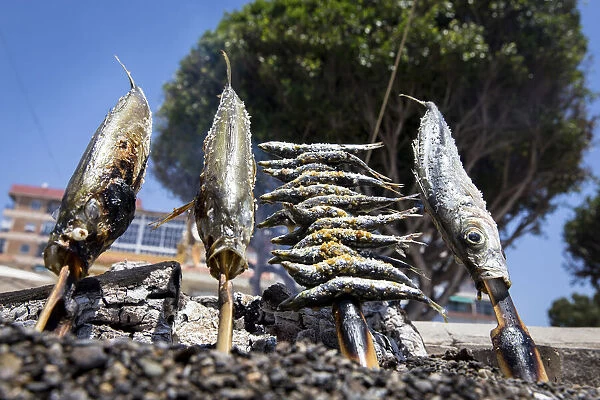 Spain, Andalusia, Malaga, Pedregalejo, Sardine and mackerel skewer at the chiringuito Las Hijas de Antonin
