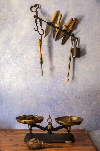 Spain, Aragon, Mora de Rubielos, Old tools used for truffle hunting