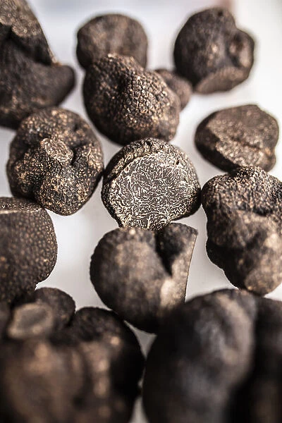 Spain, Aragon, Sarriaon, Black truffles (Tuber Melanosporum