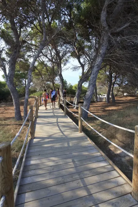 Framed Print : Spain, Balearic Islands, Ibiza, pathway to Platja de Ses Salines Beach Framed Print : Spain, Balearic Islands, Ibiza, pathway to Platja de Ses Salines Beach
