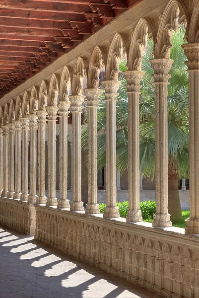 Spain, Balearic Islands, Mallorca, Palma de Mallorca, Basilica de Sant Francesc, cloister
