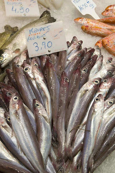 Spain, Barcelona, La Rambla, La Boqueria Market, fish for sale