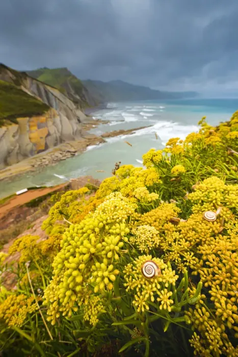 Framed Print : Spain, Basque Country, Zumaia. Flysch Cliffs Framed Print : Spain, Basque Country, Zumaia. Flysch Cliffs