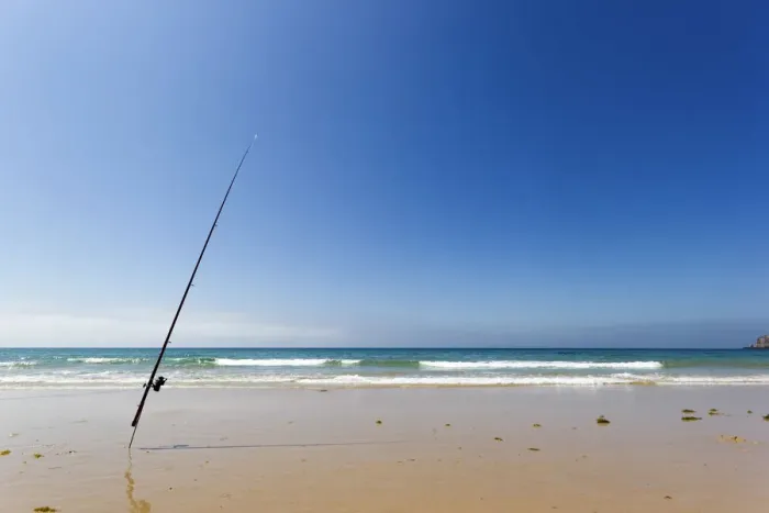 Framed Print : Spain, Bolonia, Tarifa. Lonely and isolated fishing rod on the shore of the beach Framed Print : Spain, Bolonia, Tarifa. Lonely and isolated fishing rod on the shore of the beach