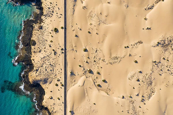 Spain, Canary Islands, Fuerteventura, aerial view of road crossing Corralejo Dunes