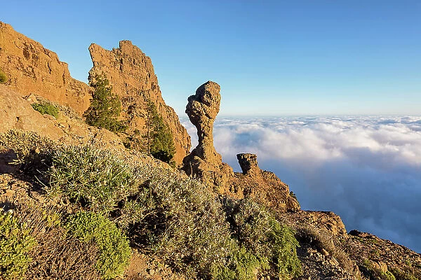 Spain, Canary Islands, Gran Canaria, Pico de las Nieves