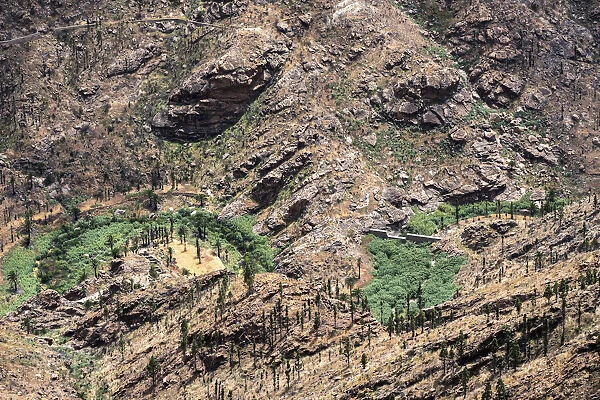 Spain, Canary Islands, Gran Canaria, Artenara, Archeological ruins in the Fataga Cliff