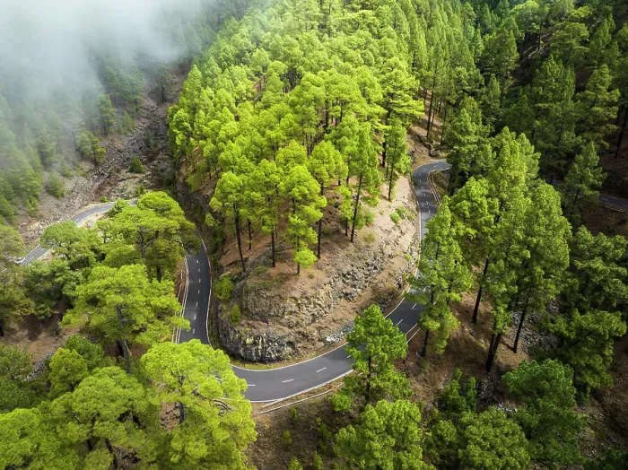 Framed Print : Spain, Canary Islands, La Palma, Garafia, LP-4 road to Roque de los Muchachos Framed Print : Spain, Canary Islands, La Palma, Garafia, LP-4 road to Roque de los Muchachos