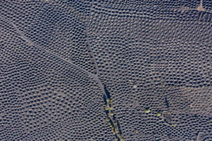Framed Print : Spain, Canary Islands, Lanzarote, La Geria, aerial view over the Vineyards Framed Print : Spain, Canary Islands, Lanzarote, La Geria, aerial view over the Vineyards