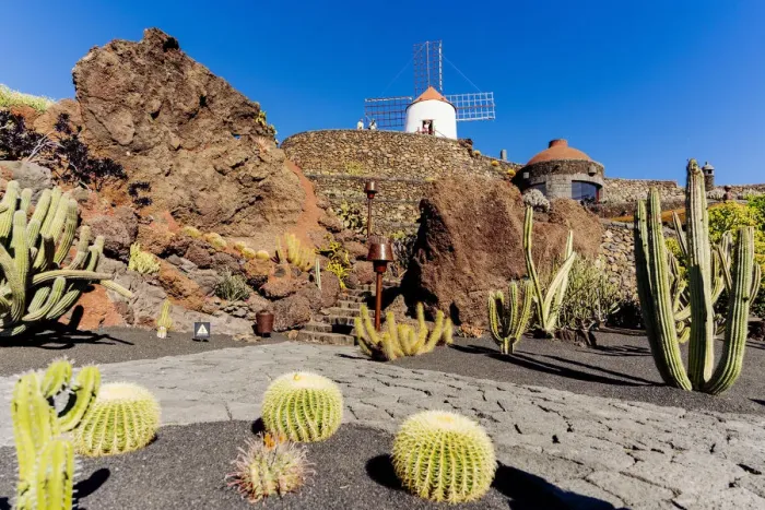Framed Print : Spain, Canary Islands, Lanzarote Island, Guatiza, the Cactus garden draw by Cesar Framed Print : Spain, Canary Islands, Lanzarote Island, Guatiza, the Cactus garden draw by Cesar