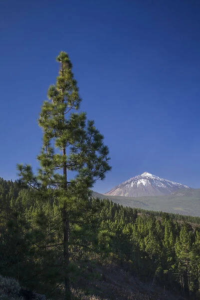 Spain, Canary Islands, Tenerife, Valle de la Orotava, view of the Pico del Teide