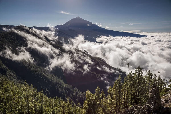 Spain, Canary Islands, Tenerife Island, El Teide Mountain, mountain landscape with fog
